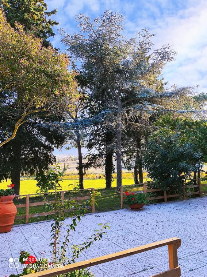 Вилла Agriturismo Pian Dell'Osa Монтияно Экстерьер фото